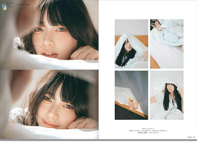 มุเมอิ เดสุ หนังสือภาพความงาม  - Japanese Lifestyle Book บทวิจารณ์และราคา